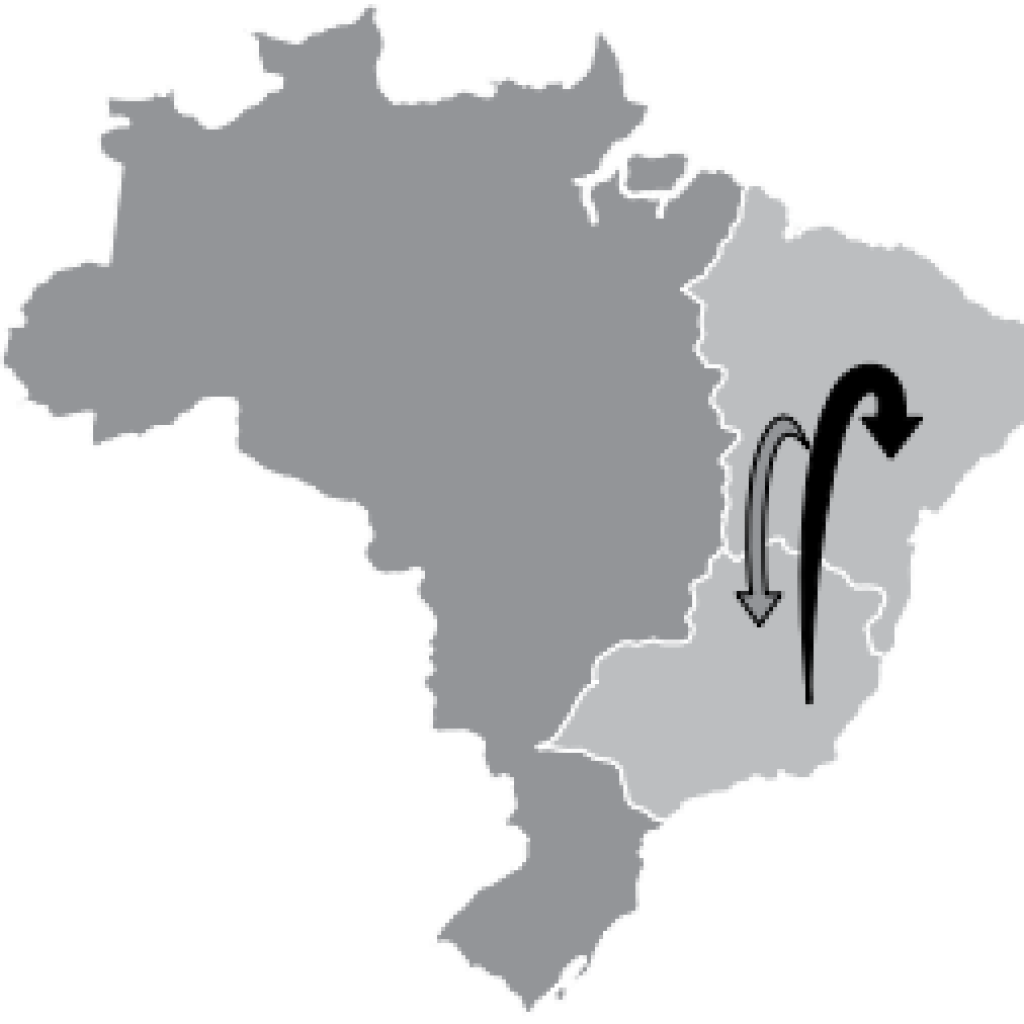Movimentos realizados pela população brasileira em seu território